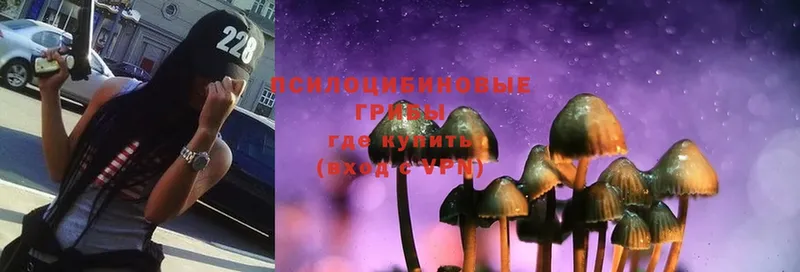 Псилоцибиновые грибы Magic Shrooms  Байкальск 